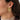 ILSE